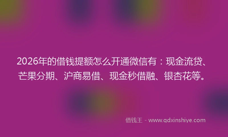 2026年的借钱提额怎么开通微信有：现金流贷、芒果分期、沪商易借、现金秒借融、银杏花等。