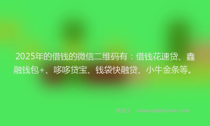 2025年的借钱的微信二维码有：借钱花速贷、鑫融钱包+、哆哆贷宝、钱袋快融贷、小牛金条等。