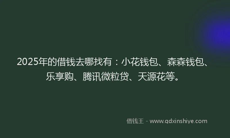2025年的借钱去哪找有：小花钱包、森森钱包、乐享购、腾讯微粒贷、天源花等。