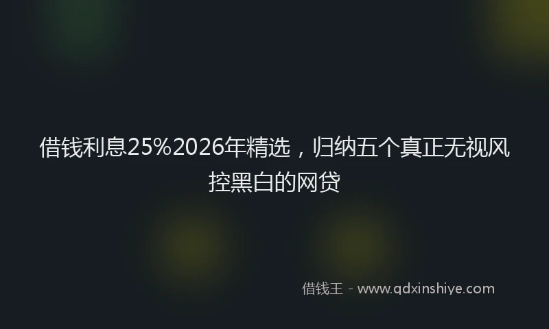 借钱利息25%2026年精选，归纳五个真正无视风控黑白的网贷