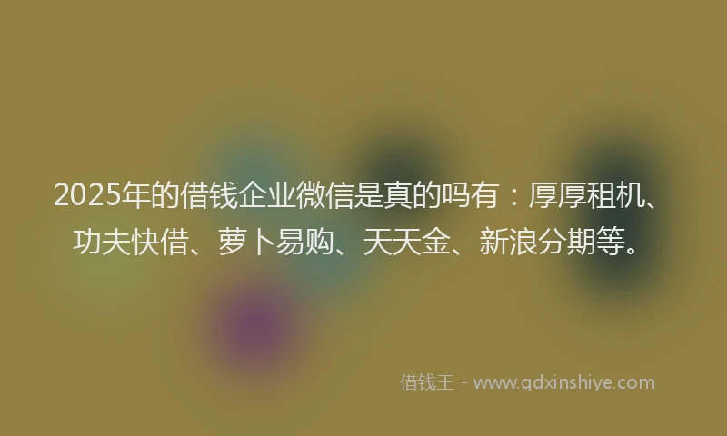 2025年的借钱企业微信是真的吗有：厚厚租机、功夫快借、萝卜易购、天天金、新浪分期等。