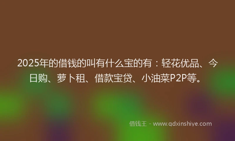 2025年的借钱的叫有什么宝的有：轻花优品、今日购、萝卜租、借款宝贷、小油菜P2P等。