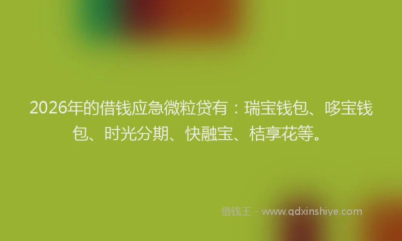 2026年的借钱应急微粒贷有：瑞宝钱包、哆宝钱包、时光分期、快融宝、桔享花等。