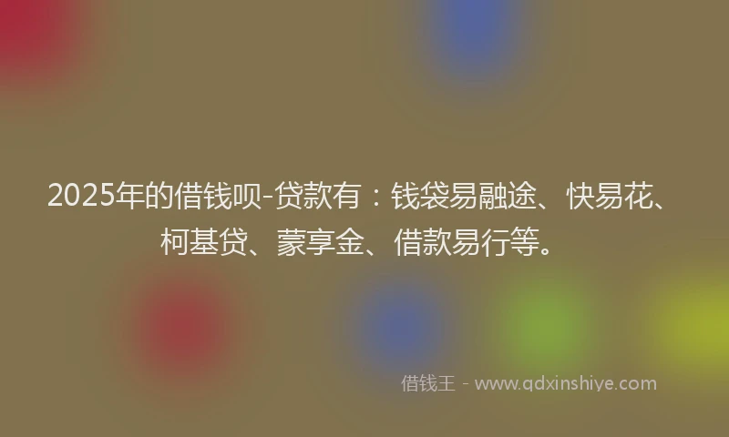 2025年的借钱呗-贷款有:钱袋易融途、快易花、柯基贷、蒙享金、借款易行等。
