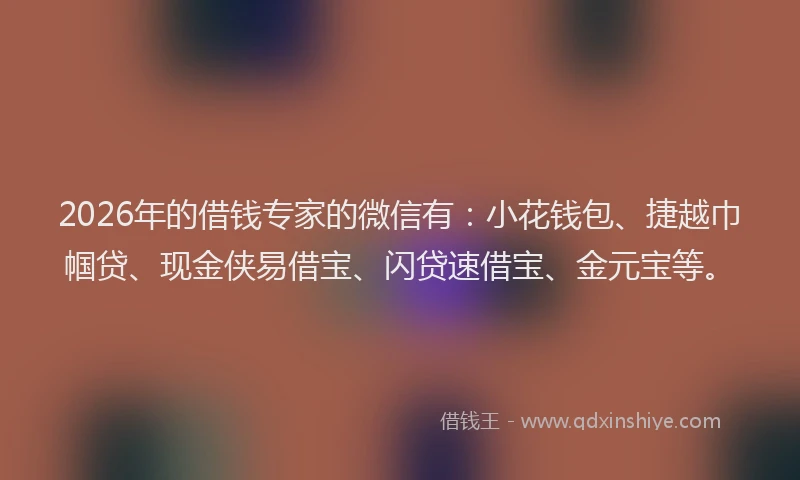 2026年的借钱专家的微信有:小花钱包、捷越巾帼贷、现金侠易借宝、闪贷速借宝、金元宝等。