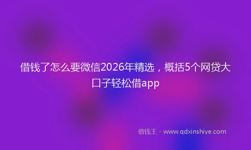 借钱了怎么要微信2026年精选，概括5个网贷大口子轻松借app