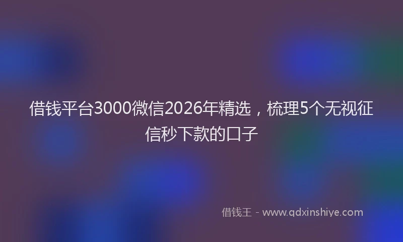 借钱平台3000微信2026年精选，梳理5个无视征信秒下款的口子