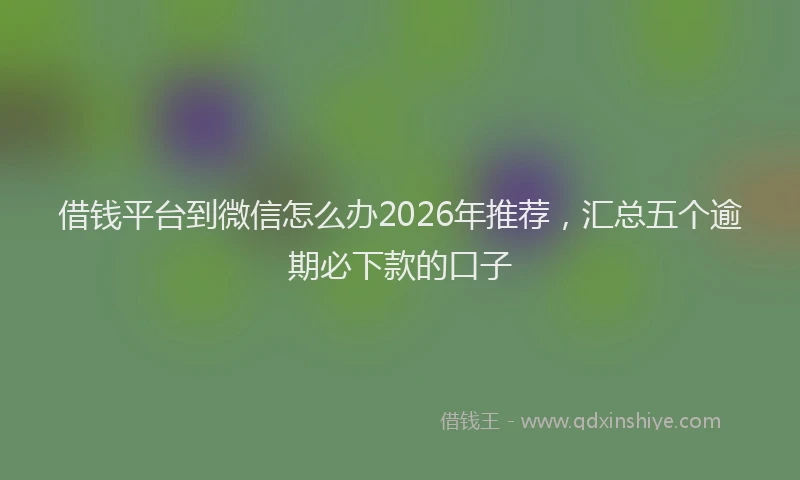 借钱平台到微信怎么办2026年推荐，汇总五个逾期必下款的口子