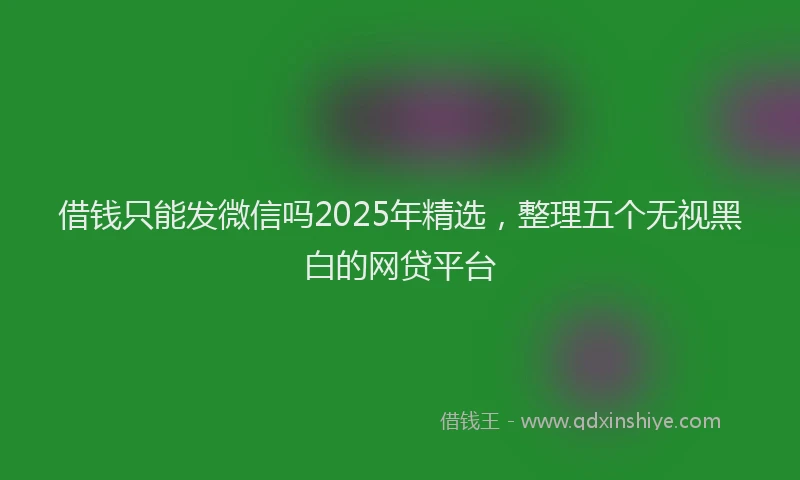 借钱只能发微信吗2025年精选，整理五个无视黑白的网贷平台