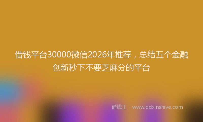 借钱平台30000微信2026年推荐，总结五个金融创新秒下不要芝麻分的平台