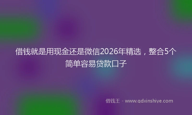借钱就是用现金还是微信2026年精选,整合5个简单容易贷款口子