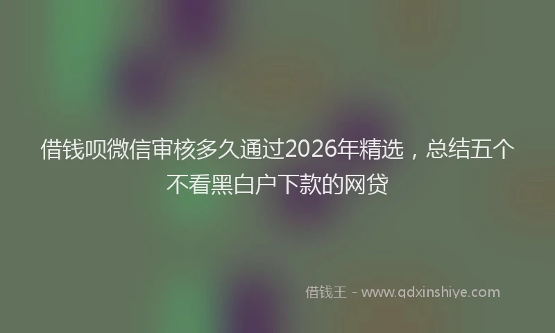 借钱呗微信审核多久通过2026年精选，总结五个不看黑白户下款的网贷