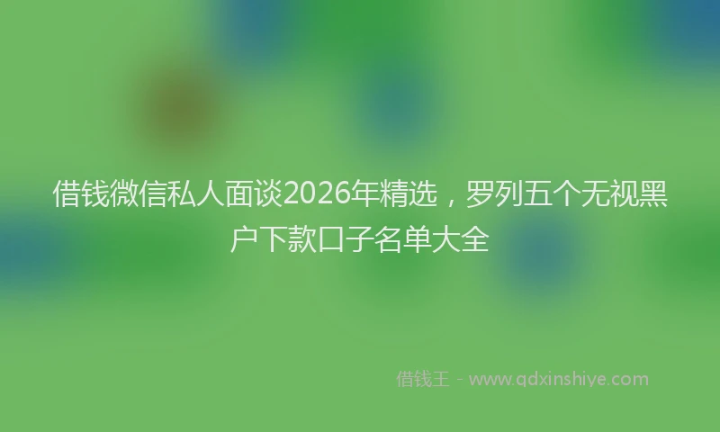 借钱微信私人面谈2026年精选，罗列五个无视黑户下款口子名单大全
