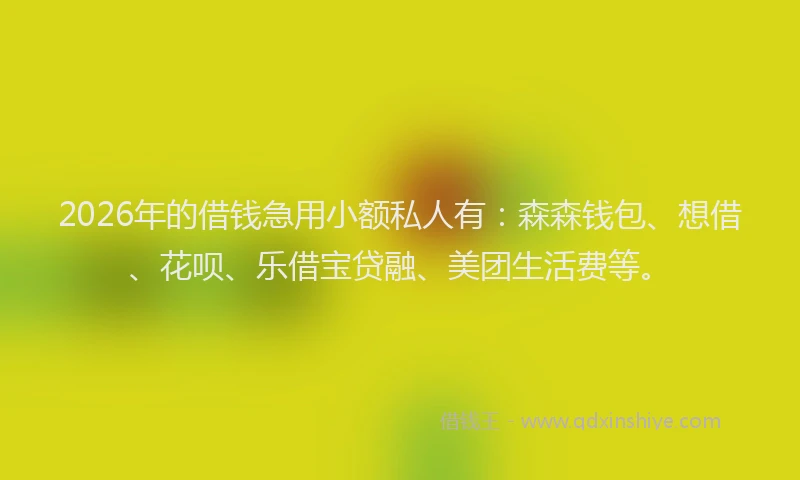 2026年的借钱急用小额私人有:森森钱包、想借、花呗、乐借宝贷融、美团生活费等。