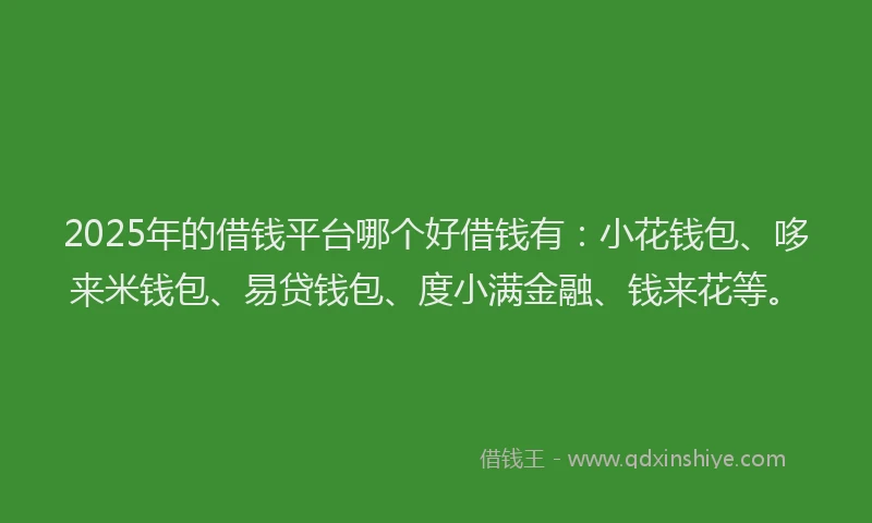 2025年的借钱平台哪个好借钱有：小花钱包、哆来米钱包、易贷钱包、度小满金融、钱来花等。