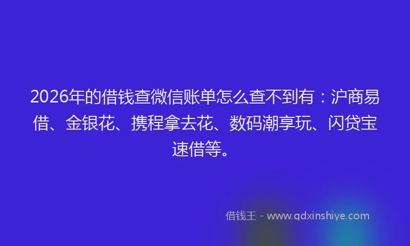 2026年的借钱查微信账单怎么查不到有：沪商易借、金银花、携程拿去花、数码潮享玩、闪贷宝速借等。