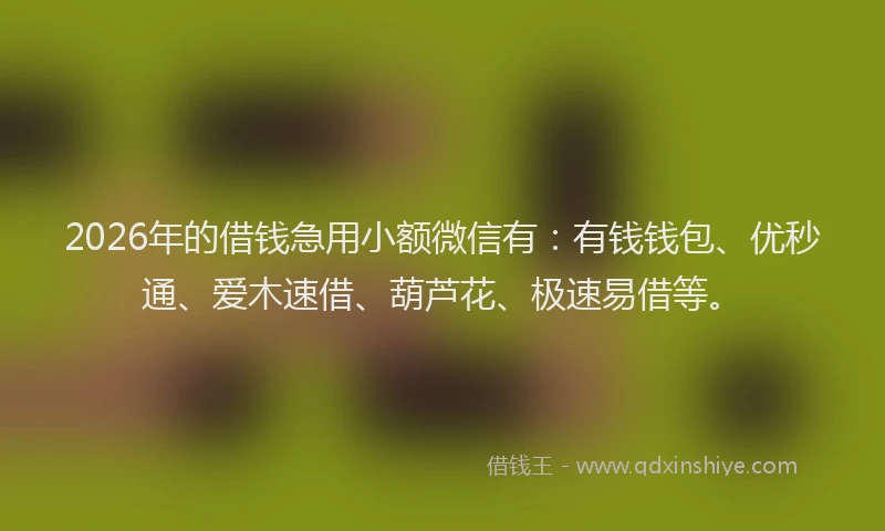 2026年的借钱急用小额微信有:有钱钱包、优秒通、爱木速借、葫芦花、极速易借等。