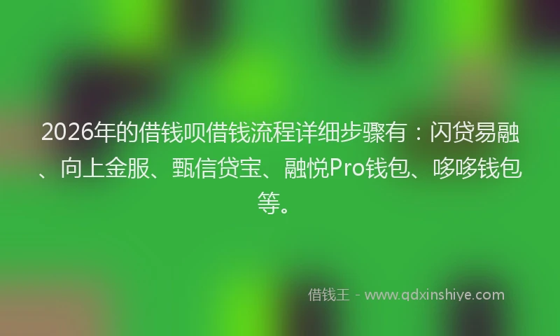 2026年的借钱呗借钱流程详细步骤有：闪贷易融、向上金服、甄信贷宝、融悦Pro钱包、哆哆钱包等。