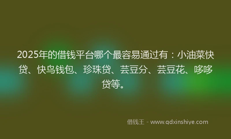 2025年的借钱平台哪个最容易通过有：小油菜快贷、快鸟钱包、珍珠贷、芸豆分、芸豆花、哆哆贷等。