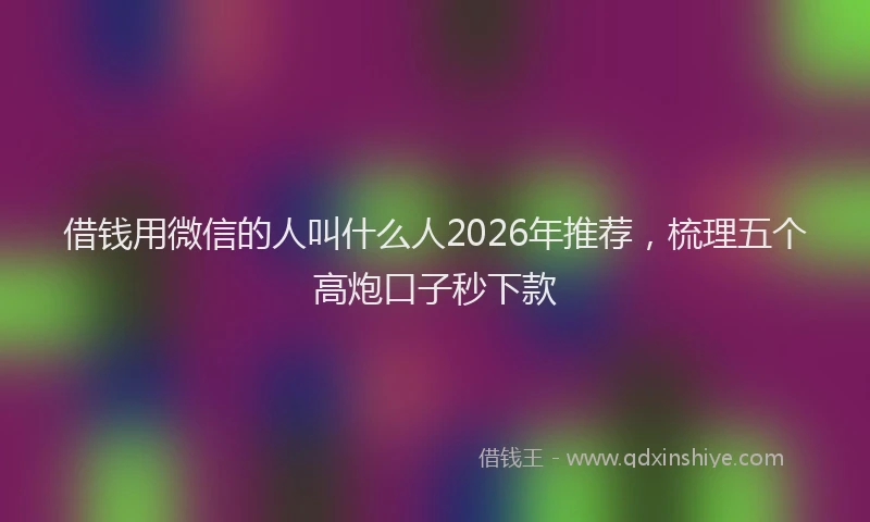 借钱用微信的人叫什么人2026年推荐，梳理五个高炮口子秒下款