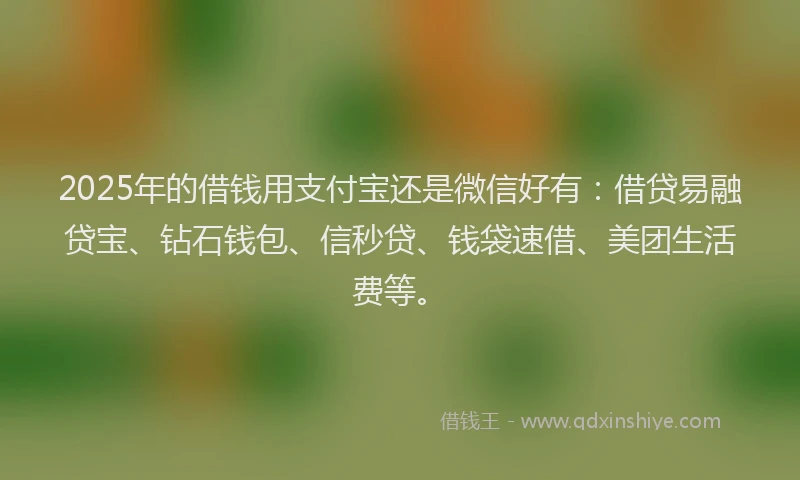 2025年的借钱用支付宝还是微信好有：借贷易融贷宝、钻石钱包、信秒贷、钱袋速借、美团生活费等。