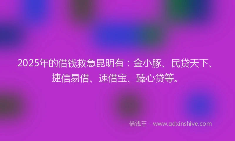 2025年的借钱救急昆明有：金小豚、民贷天下、捷信易借、速借宝、臻心贷等。