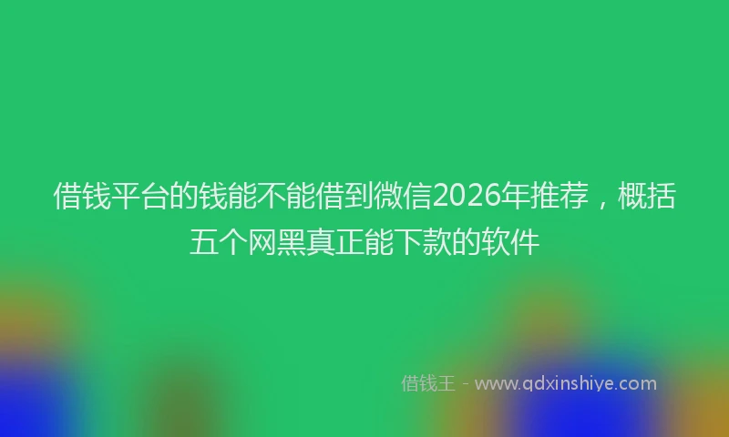 借钱平台的钱能不能借到微信2026年推荐，概括五个网黑真正能下款的软件