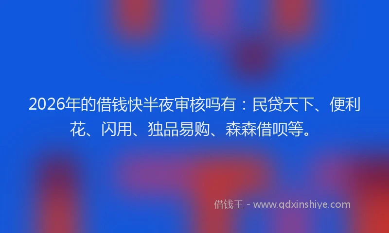 2026年的借钱快半夜审核吗有:民贷天下、便利花、闪用、独品易购、森森借呗等。