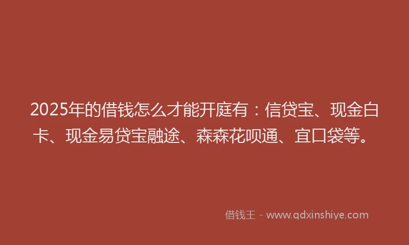 2025年的借钱怎么才能开庭有：信贷宝、现金白卡、现金易贷宝融途、森森花呗通、宜口袋等。