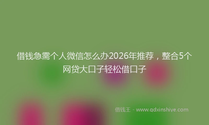 借钱急需个人微信怎么办2026年推荐，整合5个网贷大口子轻松借口子