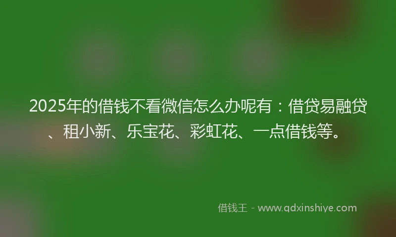 2025年的借钱不看微信怎么办呢有：借贷易融贷、租小新、乐宝花、彩虹花、一点借钱等。