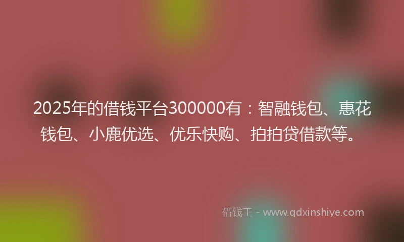 2025年的借钱平台300000有：智融钱包、惠花钱包、小鹿优选、优乐快购、拍拍贷借款等。