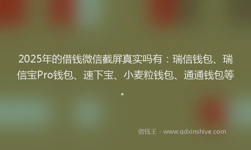 2025年的借钱微信截屏真实吗有：瑞信钱包、瑞信宝Pro钱包、速下宝、小麦粒钱包、通通钱包等。