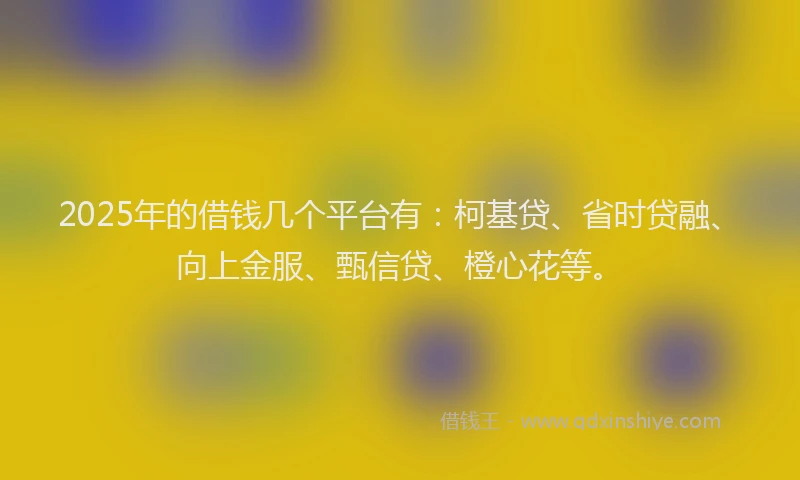 2025年的借钱几个平台有:柯基贷、省时贷融、向上金服、甄信贷、橙心花等。