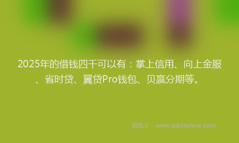 2025年的借钱四千可以有：掌上信用、向上金服、省时贷、翼贷Pro钱包、贝赢分期等。