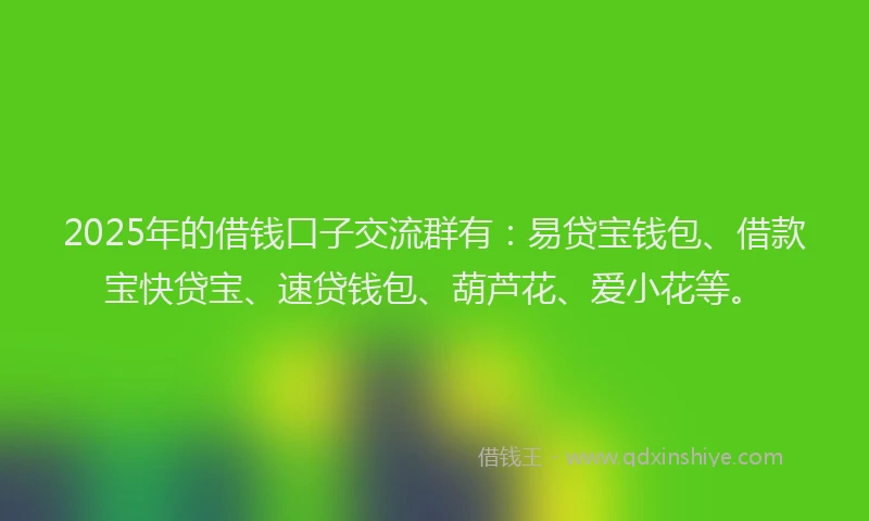 2025年的借钱口子交流群有：易贷宝钱包、借款宝快贷宝、速贷钱包、葫芦花、爱小花等。