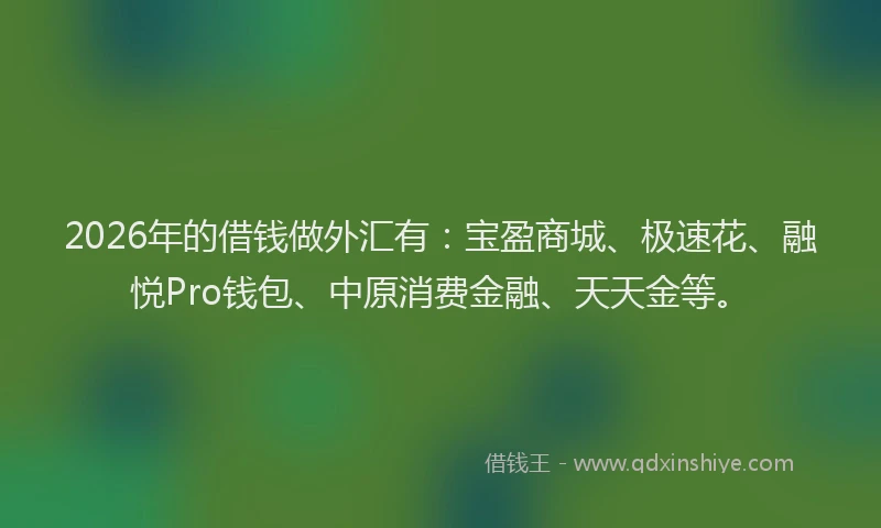 2026年的借钱做外汇有：宝盈商城、极速花、融悦Pro钱包、中原消费金融、天天金等。