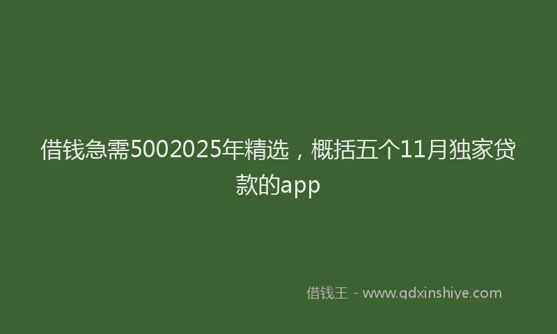借钱急需5002025年精选，概括五个11月独家贷款的app
