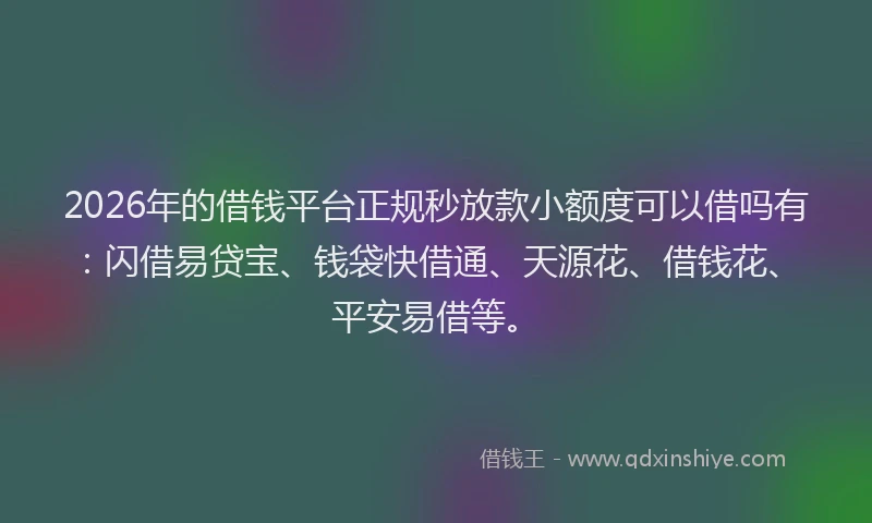 2026年的借钱平台正规秒放款小额度可以借吗有：闪借易贷宝、钱袋快借通、天源花、借钱花、平安易借等。
