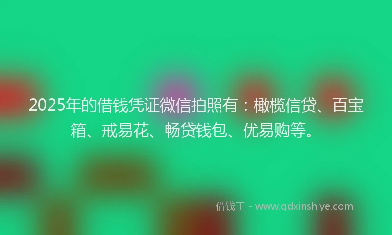 2025年的借钱凭证微信拍照有：橄榄信贷、百宝箱、戒易花、畅贷钱包、优易购等。