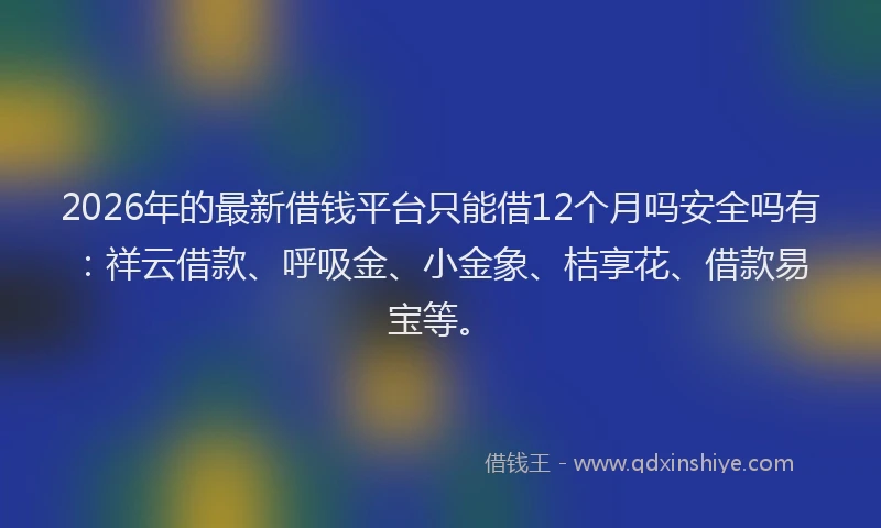 2026年的最新借钱平台只能借12个月吗安全吗有:祥云借款、呼吸金、小金象、桔享花、借款易宝等。
