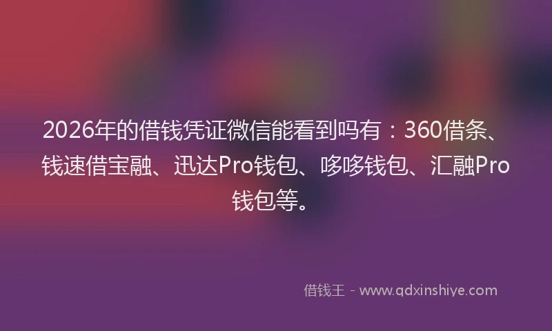 2026年的借钱凭证微信能看到吗有：360借条、钱速借宝融、迅达Pro钱包、哆哆钱包、汇融Pro钱包等。