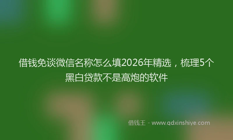 借钱免谈微信名称怎么填2026年精选,梳理5个黑白贷款不是高炮的软件