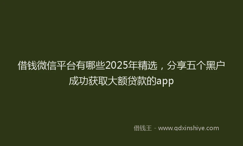 借钱微信平台有哪些2025年精选，分享五个黑户成功获取大额贷款的app