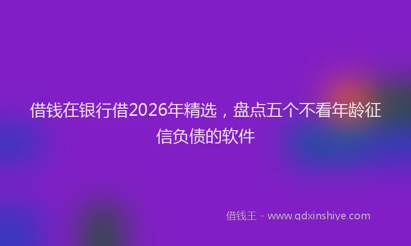 借钱在银行借2026年精选，盘点五个不看年龄征信负债的软件