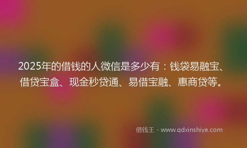 2025年的借钱的人微信是多少有：钱袋易融宝、借贷宝盒、现金秒贷通、易借宝融、惠商贷等。