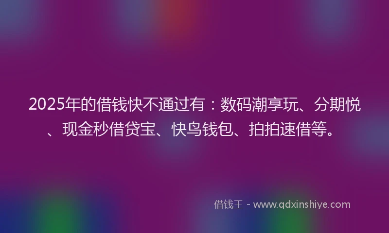 2025年的借钱快不通过有：数码潮享玩、分期悦、现金秒借贷宝、快鸟钱包、拍拍速借等。