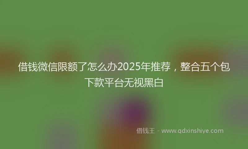 借钱微信限额了怎么办2025年推荐,整合五个包下款平台无视黑白
