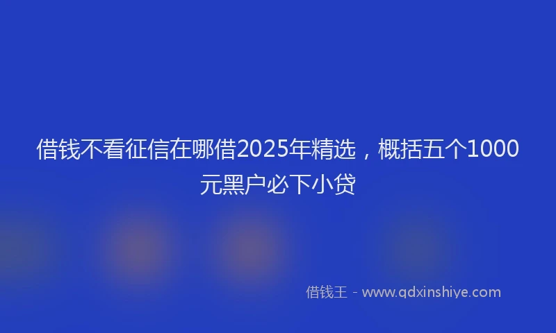 借钱不看征信在哪借2025年精选，概括五个1000元黑户必下小贷
