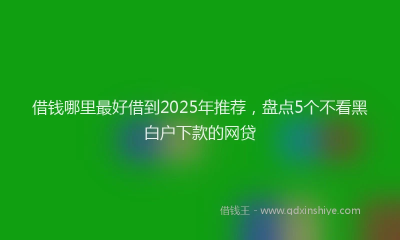 借钱哪里最好借到2025年推荐，盘点5个不看黑白户下款的网贷